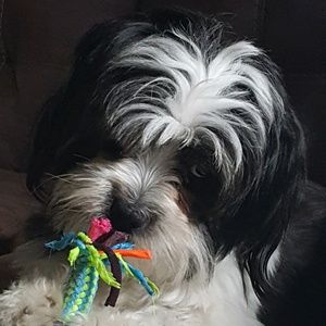 Meet your Posher, Annelle